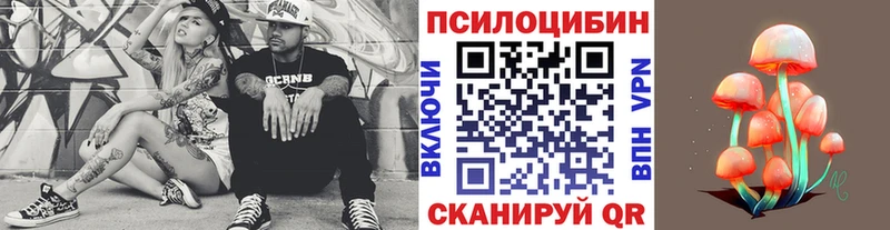 Купить где  Хасавюрт  Галлюциногенные грибы Psilocybe 